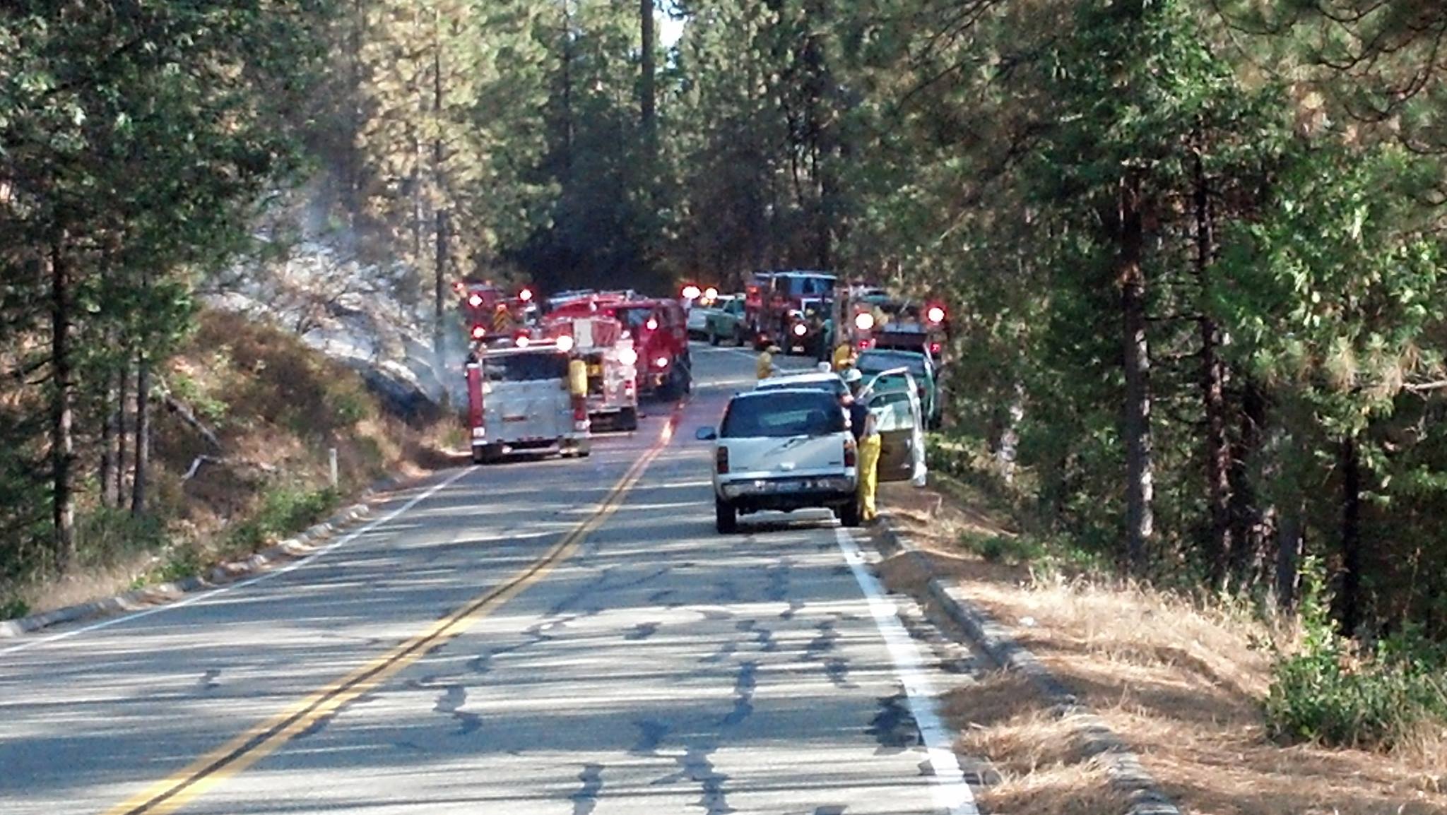 Pines Fire At Bass Lake Fawn Point | Sierra News Online