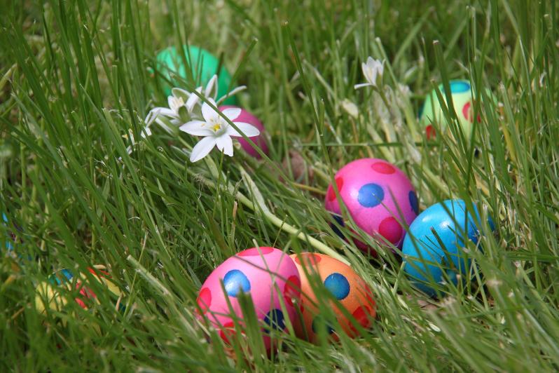 Venue Change For Easter Egg Hunt Saturday Sierra News Online