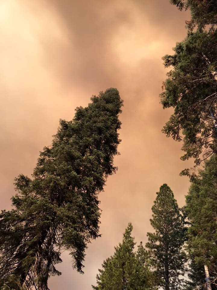 Mary Odell took this photo from Kelty Meadow Campground on June 18 2015 before the Sky Fire - photo courtesy MSO