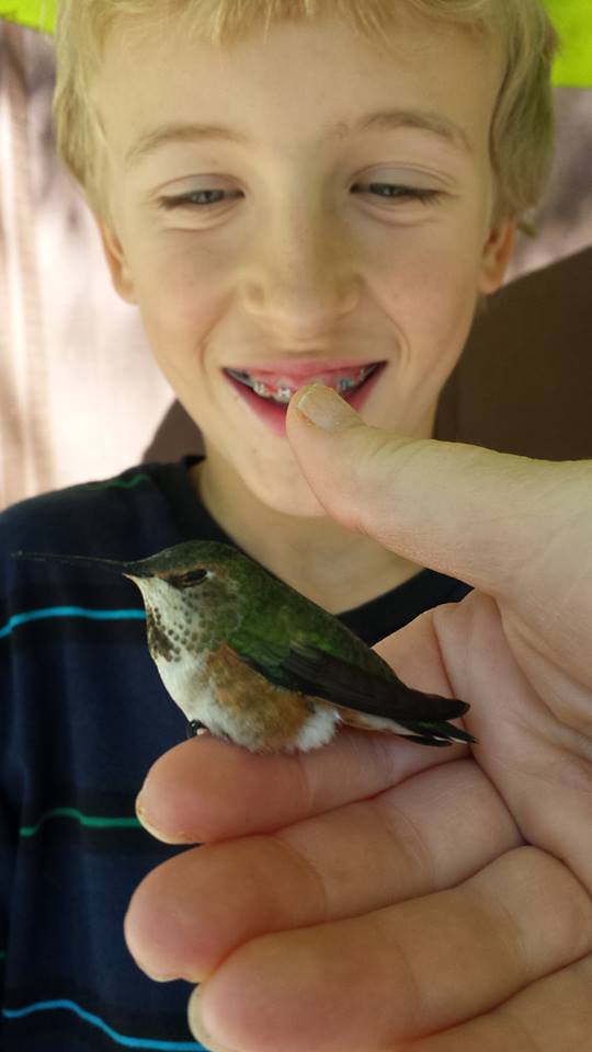 Baby hummingbird with Brady - photo by Carey Smith 2015
