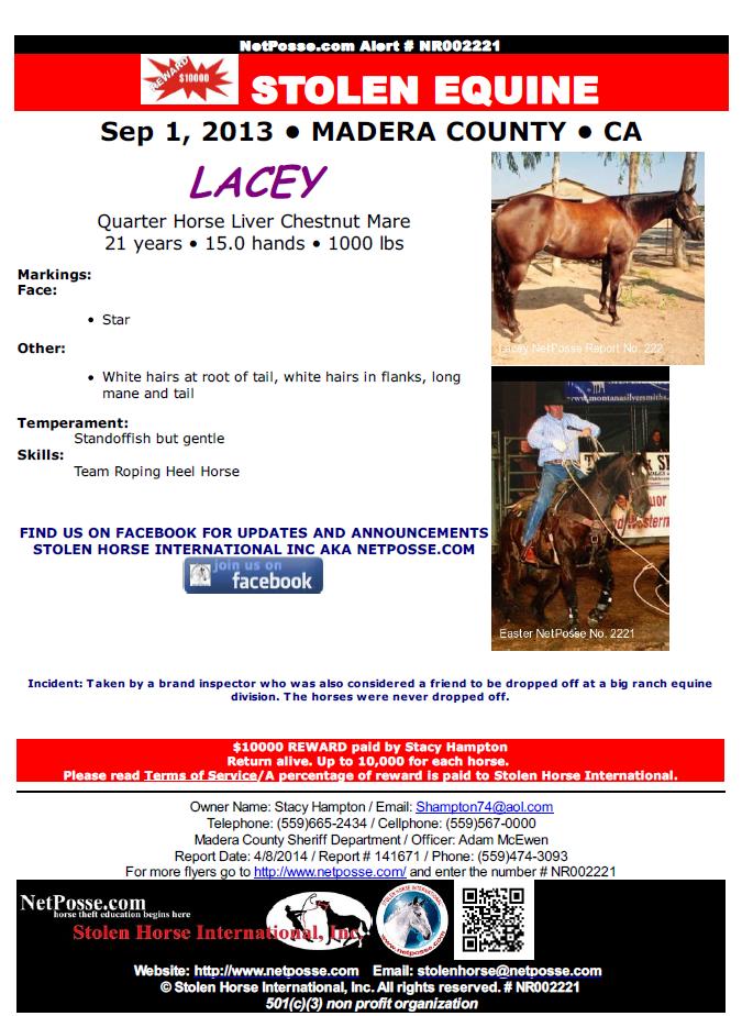 Stolen Equine Poster for Lacey