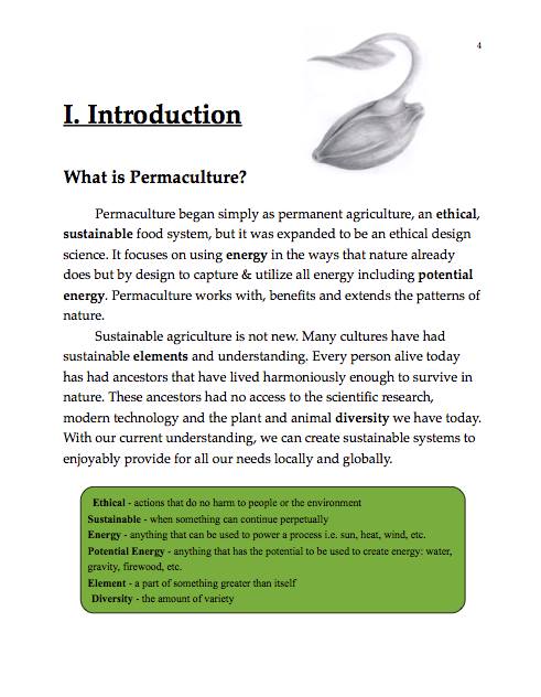 Matt Powers Permaculture page from textbook II - Coarsegold resident and Minarets teacher Matt Powers has written a textbook on Permaculture design