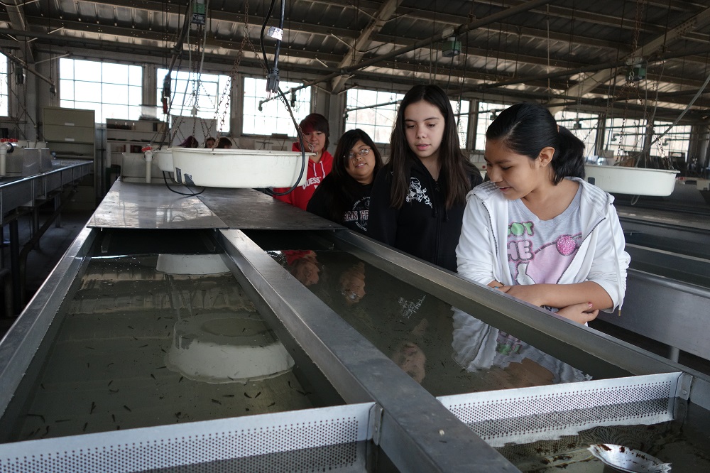 Students from Oak Creek Intermediate visit the San Joaquin Fish Hatchery - 2014 - photo courtesy Bass Lake Education Foundation