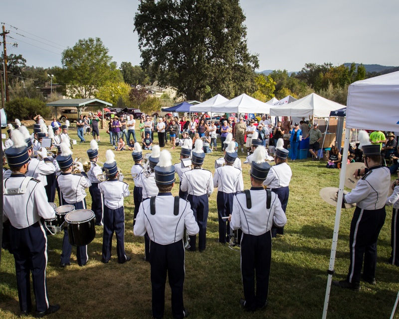 Badger Band at Fall Festival - Photo by Virginia Lazar