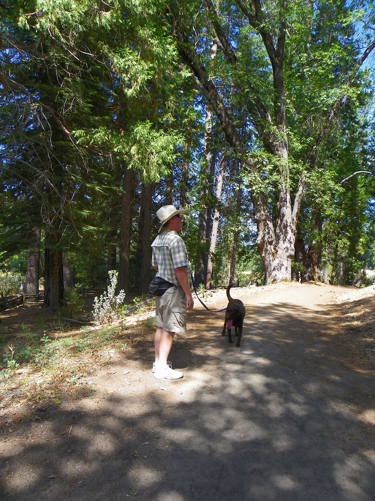Meadow Loop in Yosemite - July 2014 - Dave Briley and his dog Jack on the trail - photo by Kellie Flanagan