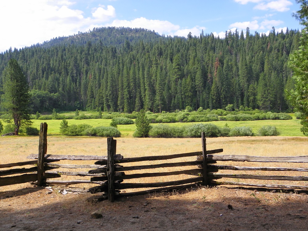 Meadow Loop in Yosemite - July 2014 - Fence and meadow II - photo by Kellie Flanagan