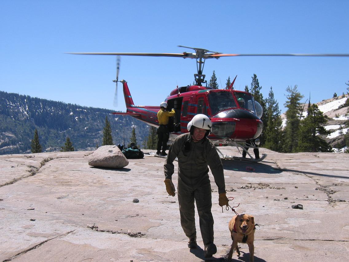 YODOG with Helicopter - photo Friends Of Yosemite Search and Rescue
