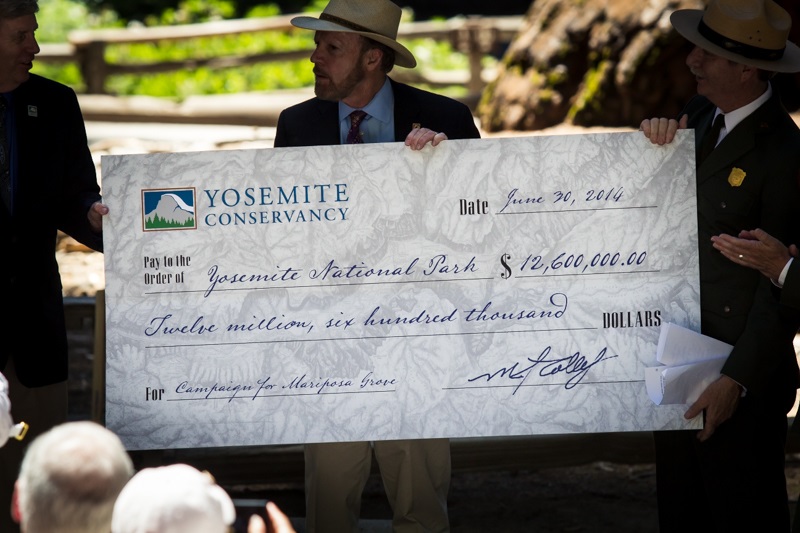 Yosemite Grant Act Anniversary 2014 - Yosemite Conservancy donates the first portion of a planned 20 million dollars toward Mariposa Grove restoration project - photo credit Virginia Lazar