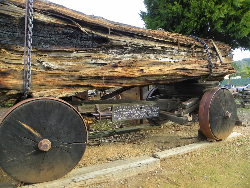 Lumber Wagon and Cedar trunk - photo by Kellie Flanagan