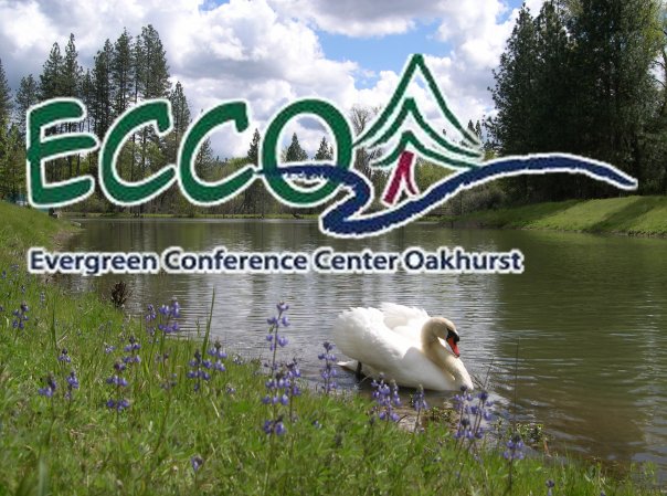 ECCO Photo logo
