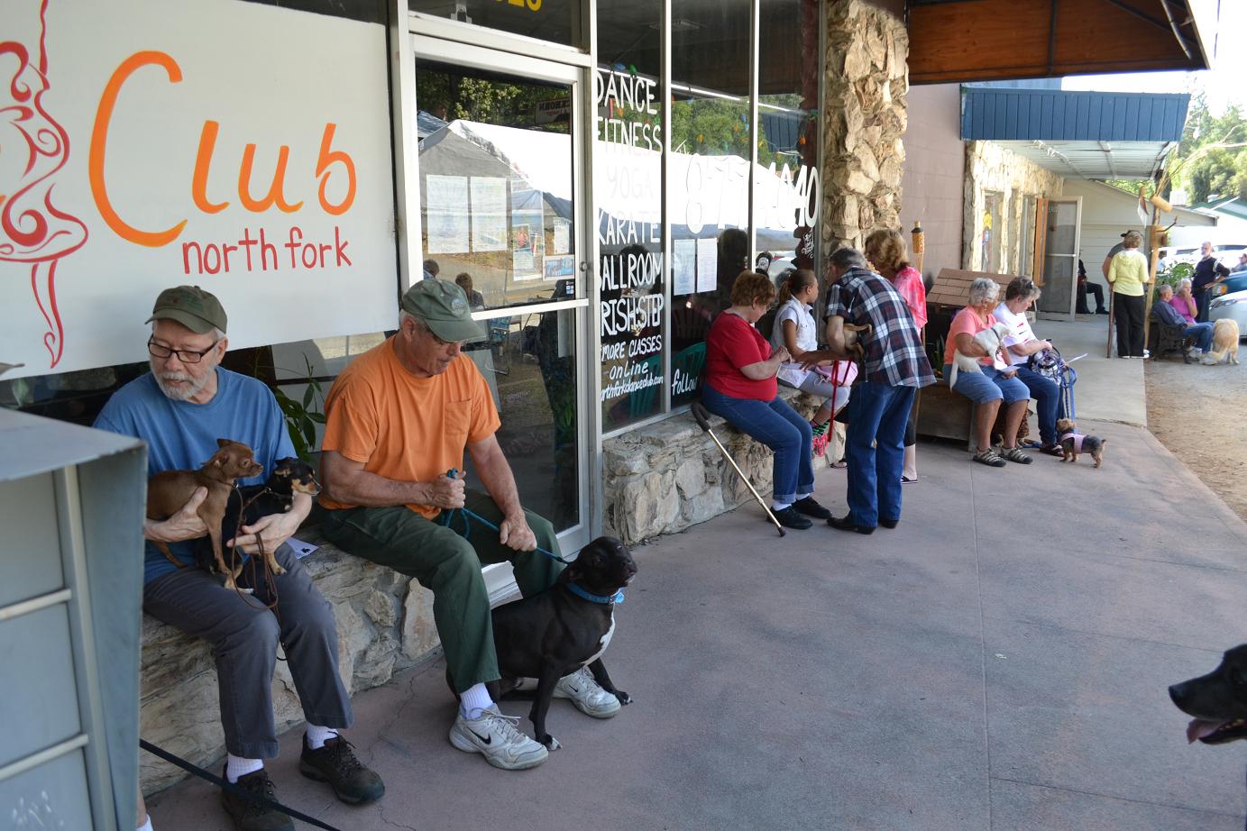 Pet owners line up for low-cost vaccinations