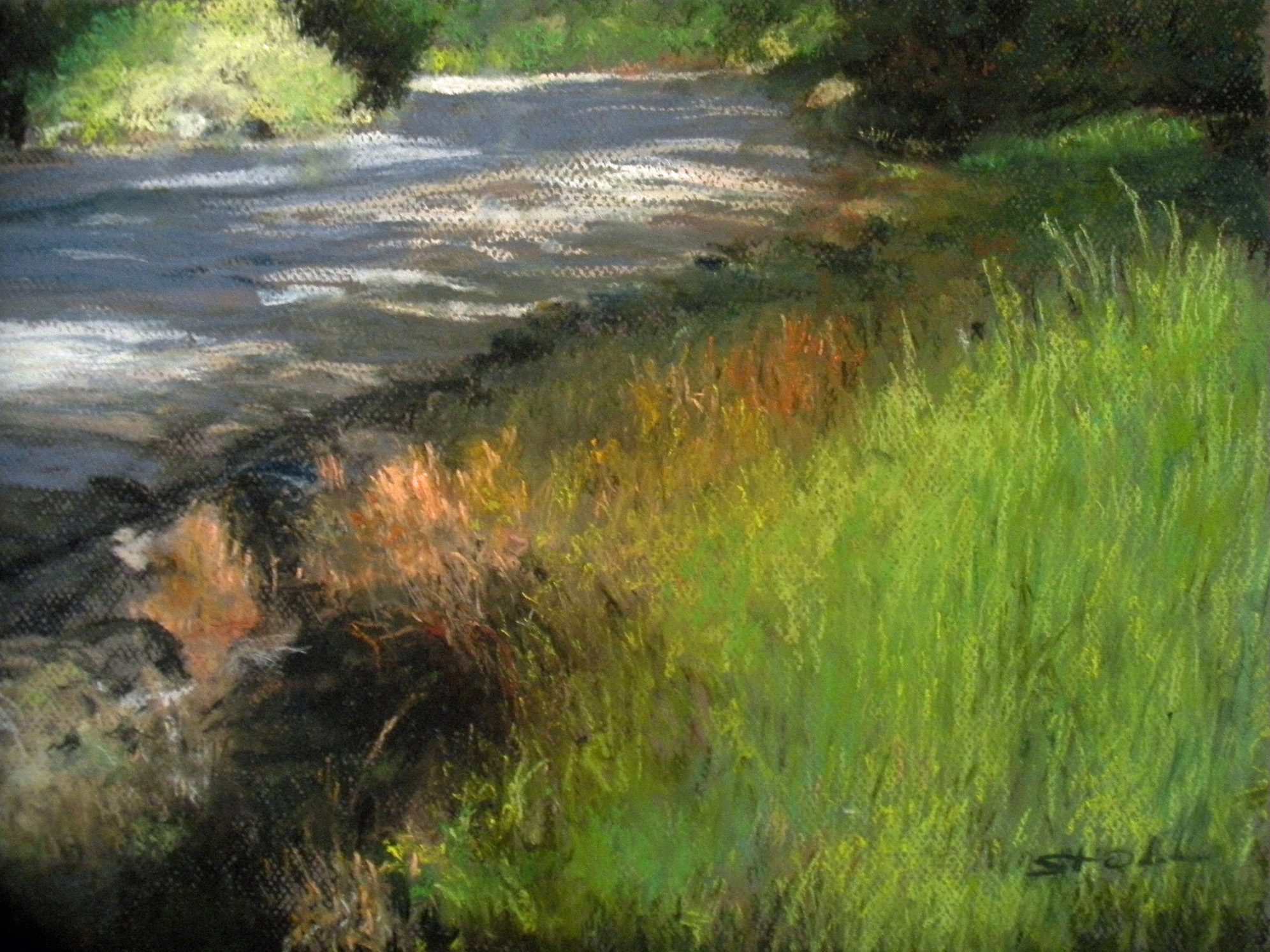 Morning Light Play II 12 x 16 Pastel on Canson Paper resized